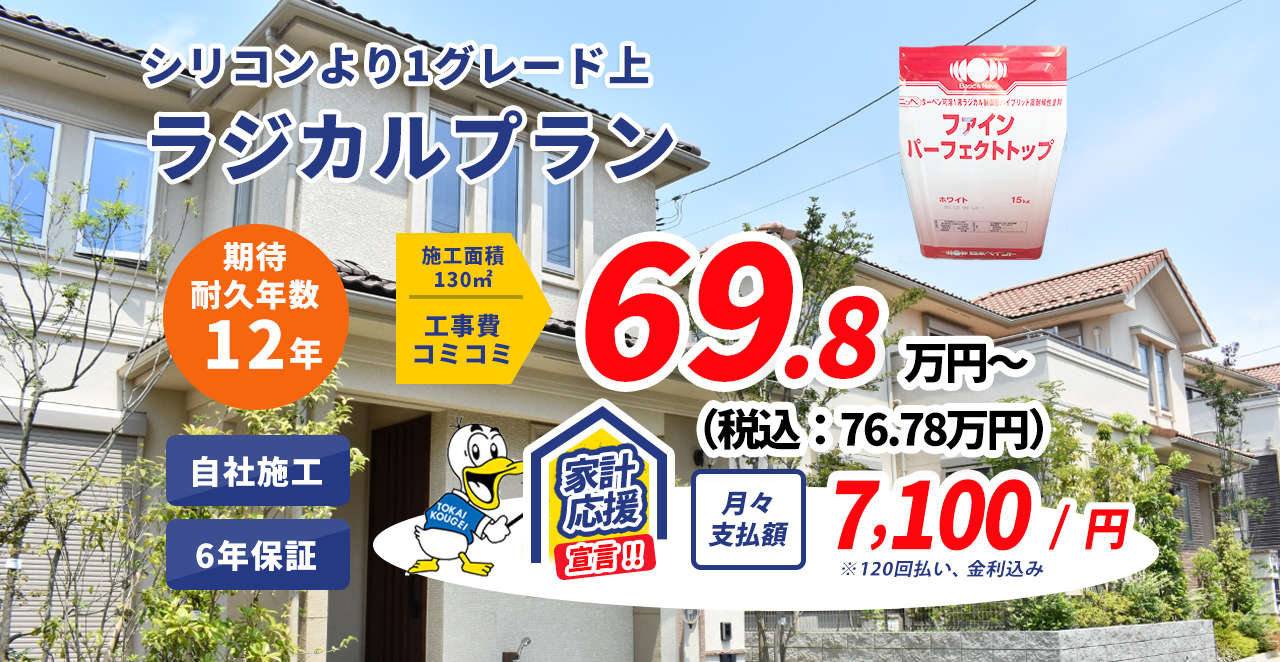 リーズナブル価格シリコンプラン