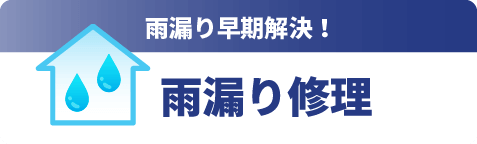 雨漏り修理