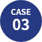 case03