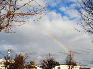 雲の間から、虹が見えました！！