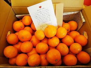 天白ショールームにおいしいミカン🍊が届きました！！