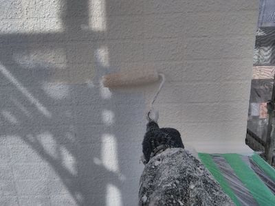 壁の剥がれ補修、防水塗料で水から建物を守る塗装と屋上・バルコニー防水　名古屋市天白区