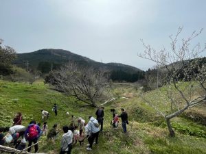 山野草の天ぷら会♪♪