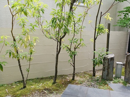 ウッドフレンズ外壁塗装と屋根リフォーム(カバー工法)名古屋市天白区